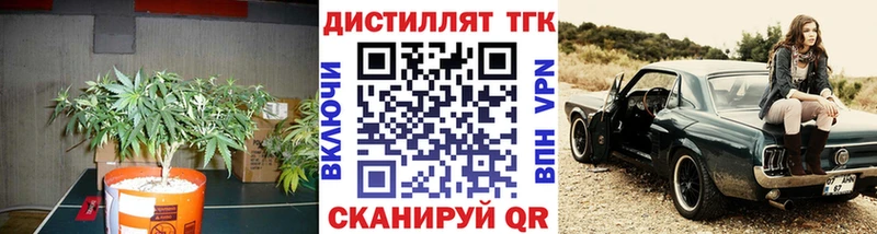 darknet Telegram  купить наркотик  OMG ссылка  Терек  Дистиллят ТГК THC oil 