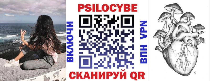 MEGA ссылки  цены наркотик  Терек  Галлюциногенные грибы прущие грибы 
