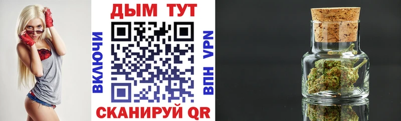 Каннабис Bruce Banner  Терек 